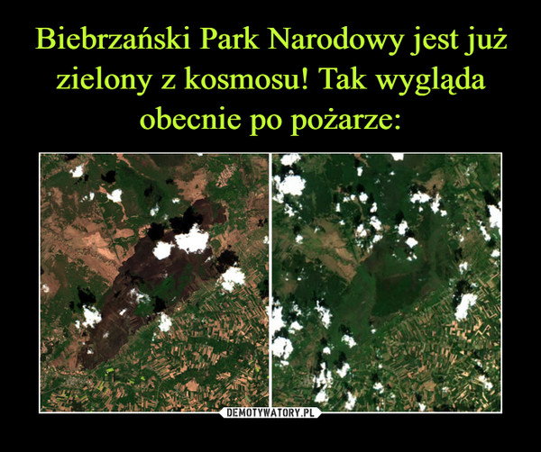 Biebrzański Park Narodowy jest już zielony z kosmosu! Tak wygląda obecnie po pożarze: