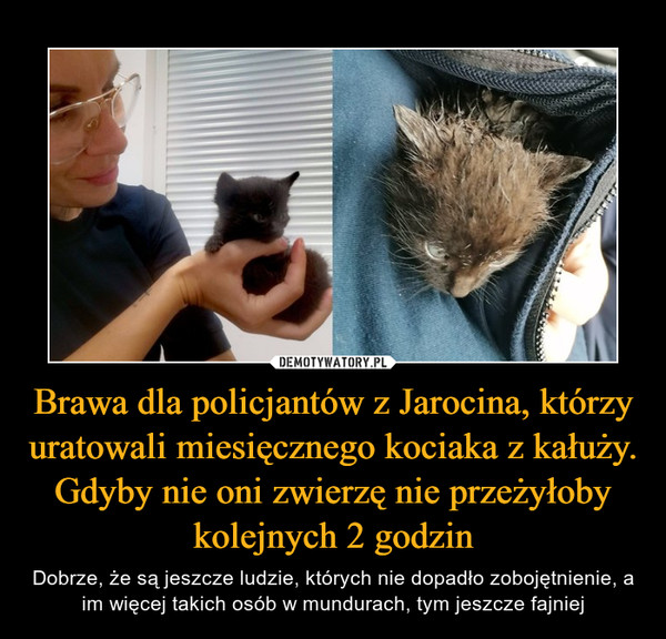 Brawa dla policjantów z Jarocina, którzy uratowali miesięcznego kociaka z kałuży. Gdyby nie oni zwierzę nie przeżyłoby kolejnych 2 godzin