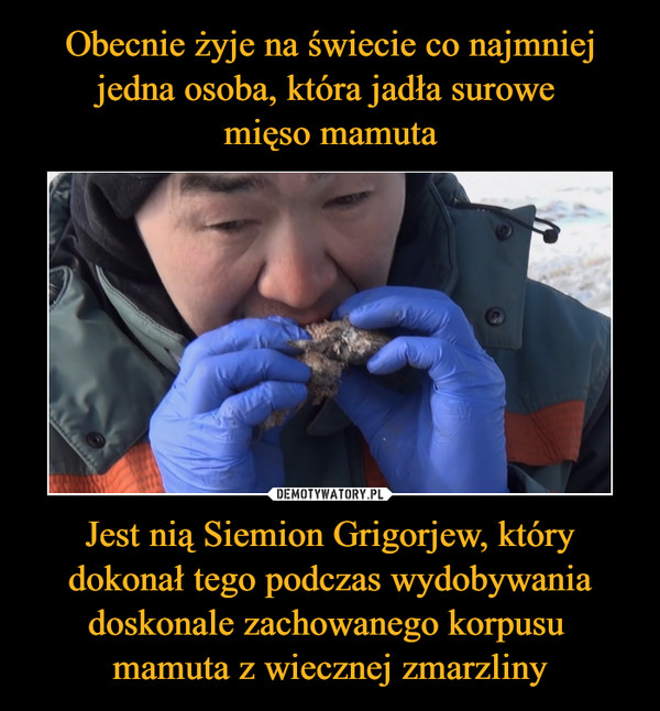 Jest nią Siemion Grigorjew, który dokonał tego podczas wydobywania doskonale zachowanego korpusu mamuta z wiecznej zmarzliny –  
