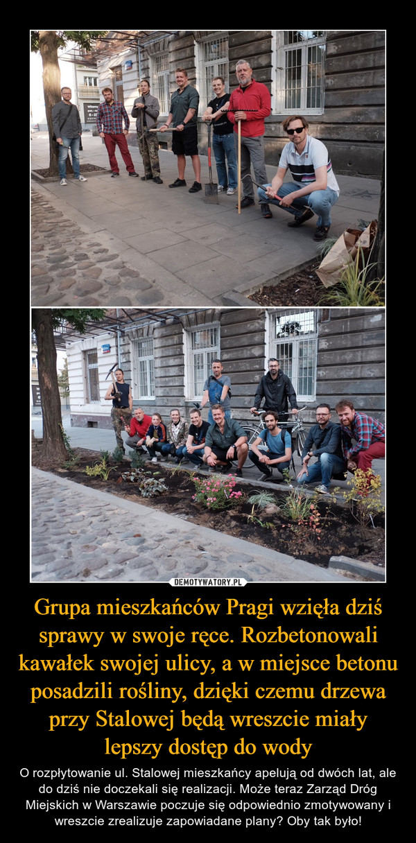 Grupa mieszkańców Pragi wzięła dziś sprawy w swoje ręce. Rozbetonowali kawałek swojej ulicy, a w miejsce betonu posadzili rośliny, dzięki czemu drzewa przy Stalowej będą wreszcie miały lepszy dostęp do wody