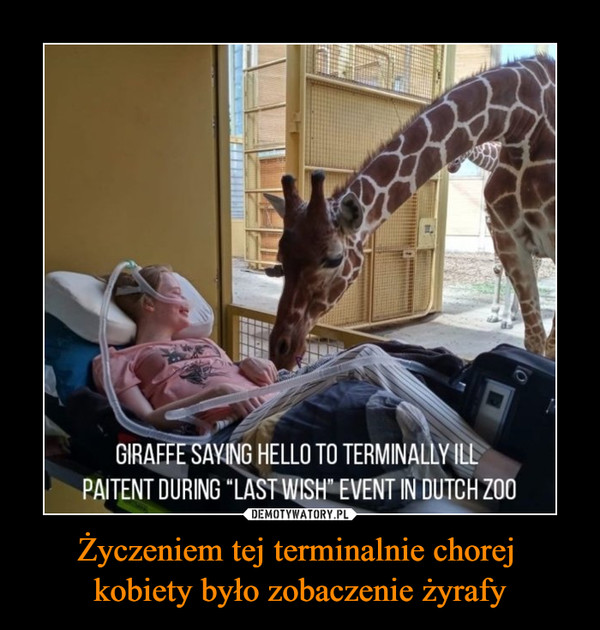 Życzeniem tej terminalnie chorej kobiety było zobaczenie żyrafy –  