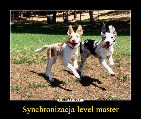 Synchronizacja level master –  