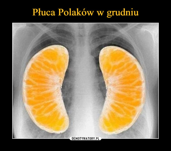 Płuca Polaków w grudniu
