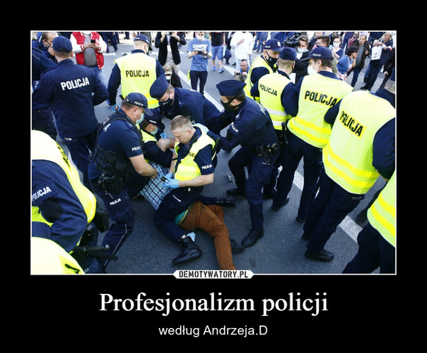 Profesjonalizm policji – według Andrzeja.D 