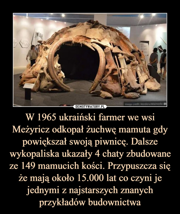 W 1965 ukraiński farmer we wsi Meżyricz odkopał żuchwę mamuta gdy powiększał swoją piwnicę. Dalsze wykopaliska ukazały 4 chaty zbudowane ze 149 mamucich kości. Przypuszcza się że mają około 15.000 lat co czyni je jednymi z najstarszych znanych przykładów budownictwa
