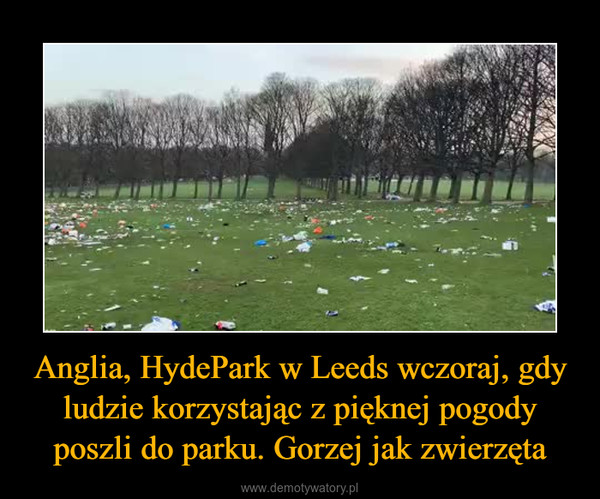 Anglia, HydePark w Leeds wczoraj, gdy ludzie korzystając z pięknej pogody poszli do parku. Gorzej jak zwierzęta –  