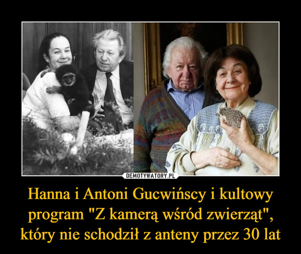 Hanna i Antoni Gucwińscy i kultowy program "Z kamerą wśród zwierząt", który nie schodził z anteny przez 30 lat –  