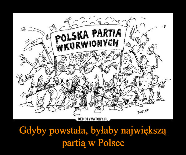 Gdyby powstała, byłaby największą partią w Polsce –  POLSKA PARTIA WKURWIONYCH