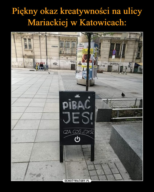 Piękny okaz kreatywności na ulicy Mariackiej w Katowicach: