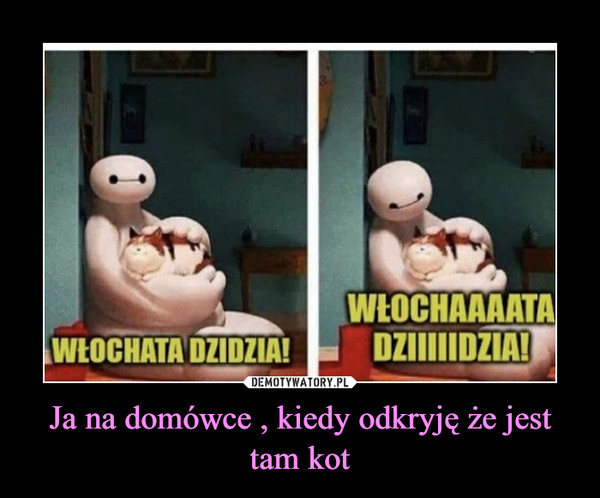 Ja na domówce , kiedy odkryję że jest tam kot –  