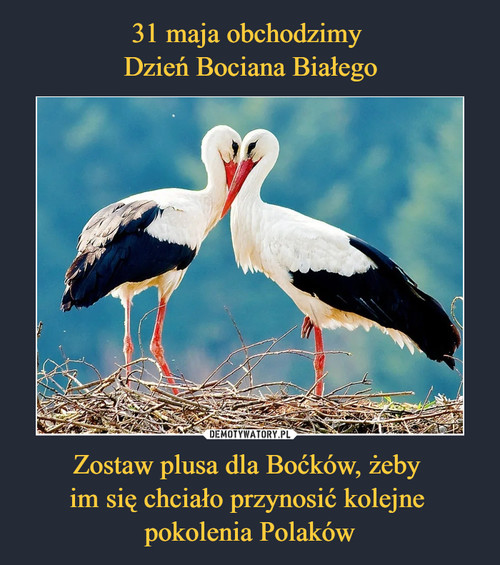 31 maja obchodzimy 
Dzień Bociana Białego Zostaw plusa dla Boćków, żeby 
im się chciało przynosić kolejne 
pokolenia Polaków