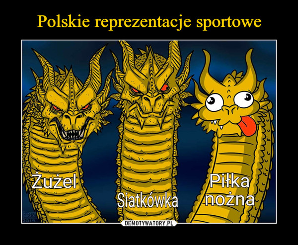 Polskie reprezentacje sportowe