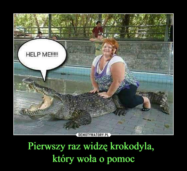 Pierwszy raz widzę krokodyla,  który woła o pomoc –  HELP ME!!!!!