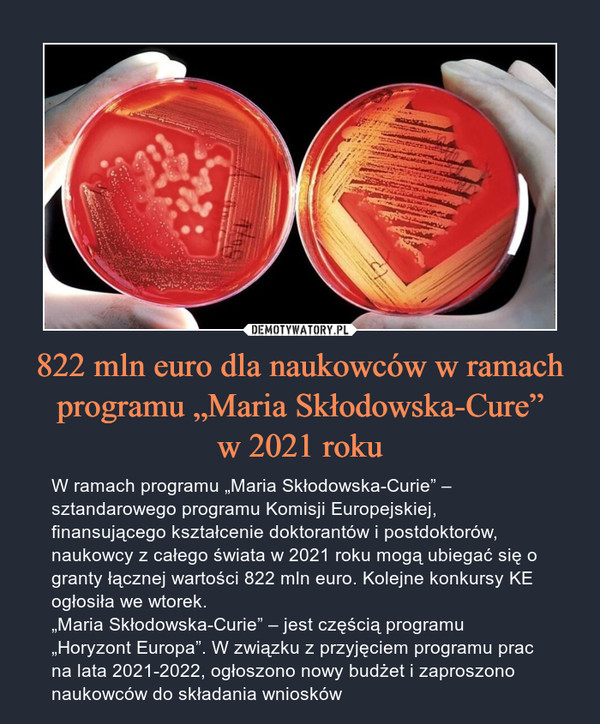 822 mln euro dla naukowców w ramach programu „Maria Skłodowska-Cure”
w 2021 roku