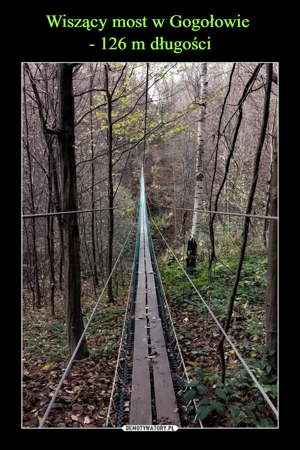 Wiszący most w Gogołowie 
- 126 m długości