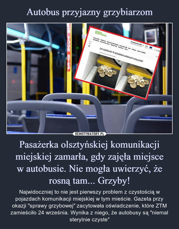 Pasażerka olsztyńskiej komunikacji miejskiej zamarła, gdy zajęła miejscew autobusie. Nie mogła uwierzyć, że rosną tam... Grzyby! – Najwidoczniej to nie jest pierwszy problem z czystością w pojazdach komunikacji miejskiej w tym mieście. Gazeta przy okazji "sprawy grzybowej" zacytowała oświadczenie, które ZTM zamieściło 24 września. Wynika z niego, że autobusy są "niemal sterylnie czyste" 