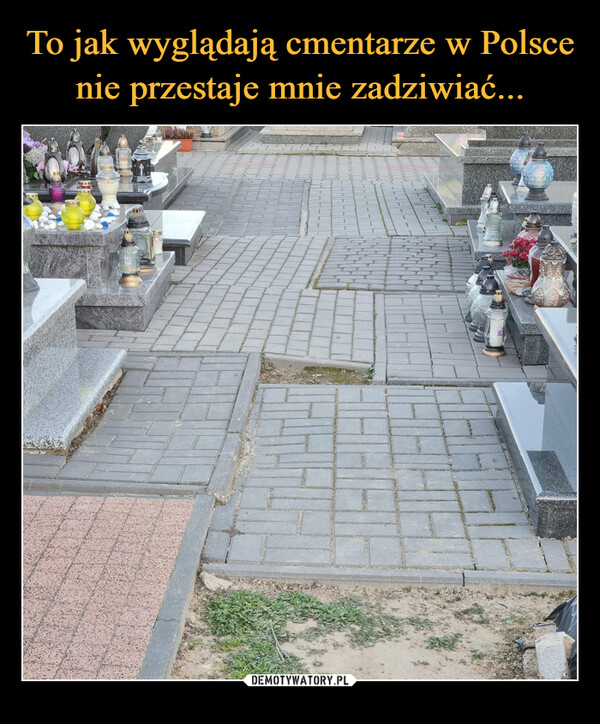 To jak wyglądają cmentarze w Polsce nie przestaje mnie zadziwiać...