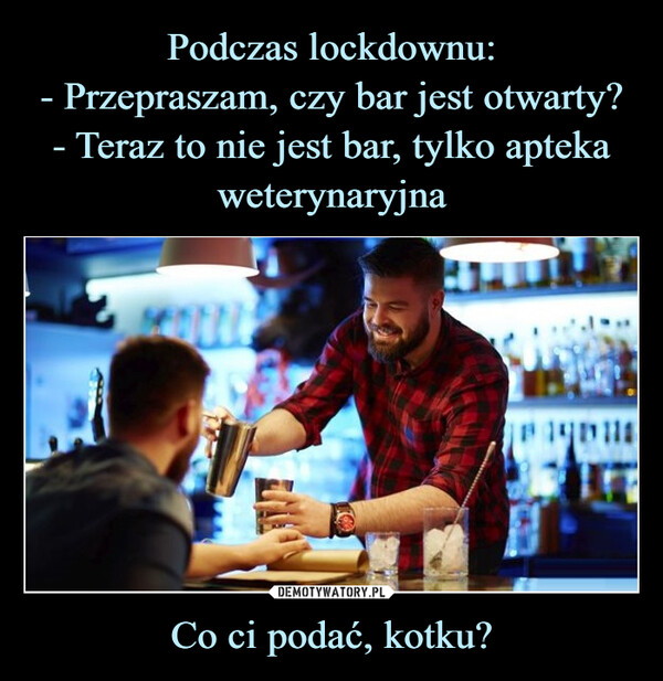Co ci podać, kotku? –  
