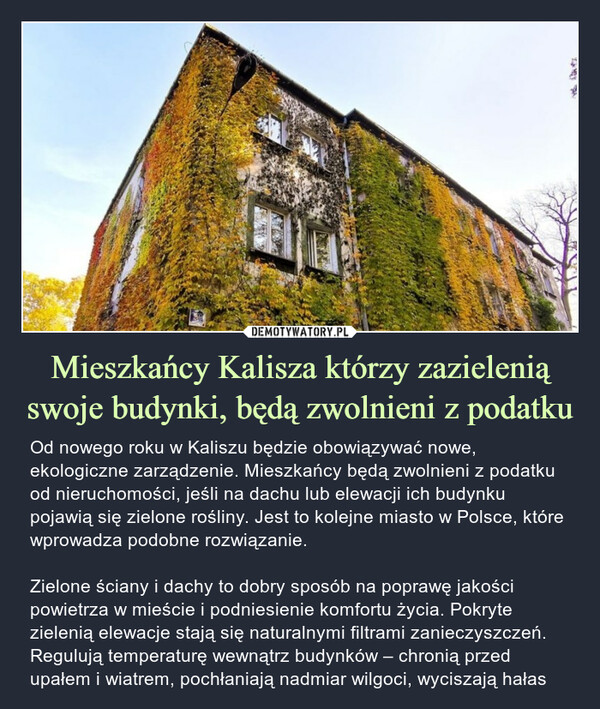 Mieszkańcy Kalisza którzy zazielenią swoje budynki, będą zwolnieni z podatku – Od nowego roku w Kaliszu będzie obowiązywać nowe, ekologiczne zarządzenie. Mieszkańcy będą zwolnieni z podatku od nieruchomości, jeśli na dachu lub elewacji ich budynku pojawią się zielone rośliny. Jest to kolejne miasto w Polsce, które wprowadza podobne rozwiązanie.Zielone ściany i dachy to dobry sposób na poprawę jakości powietrza w mieście i podniesienie komfortu życia. Pokryte zielenią elewacje stają się naturalnymi filtrami zanieczyszczeń. Regulują temperaturę wewnątrz budynków – chronią przed upałem i wiatrem, pochłaniają nadmiar wilgoci, wyciszają hałas 