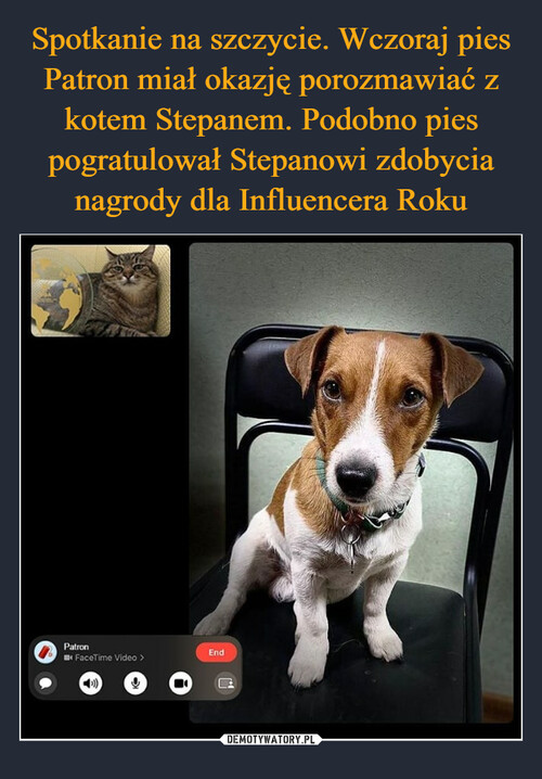 Spotkanie na szczycie. Wczoraj pies Patron miał okazję porozmawiać z kotem Stepanem. Podobno pies pogratulował Stepanowi zdobycia nagrody dla Influencera Roku