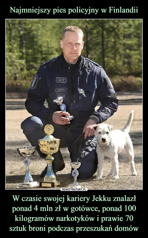 Najmniejszy pies policyjny w Finlandii W czasie swojej kariery Jekku znalazł ponad 4 mln zł w gotówce, ponad 100 kilogramów narkotyków i prawie 70 sztuk broni podczas przeszukań domów