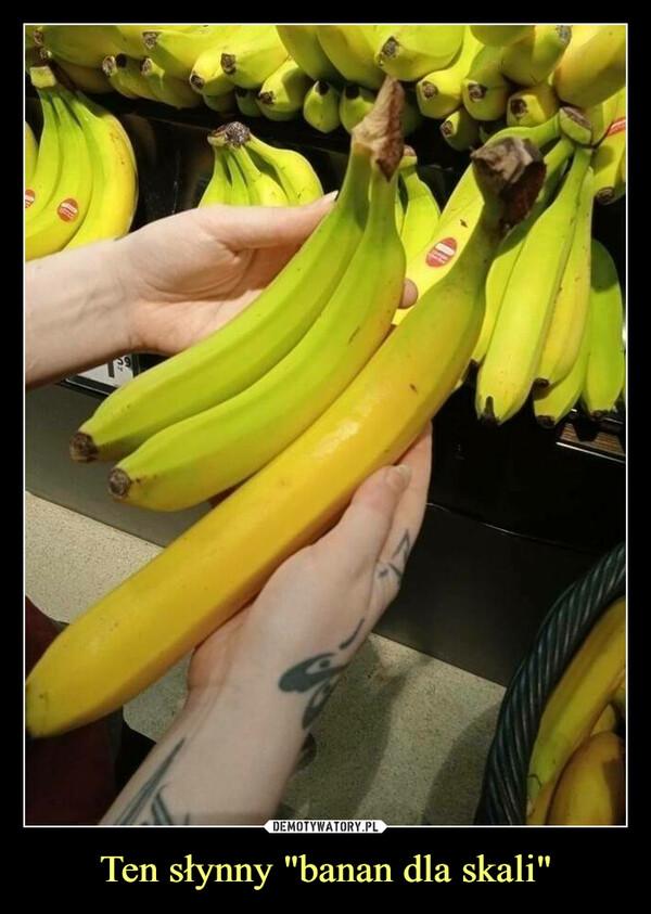 Ten słynny "banan dla skali" –  