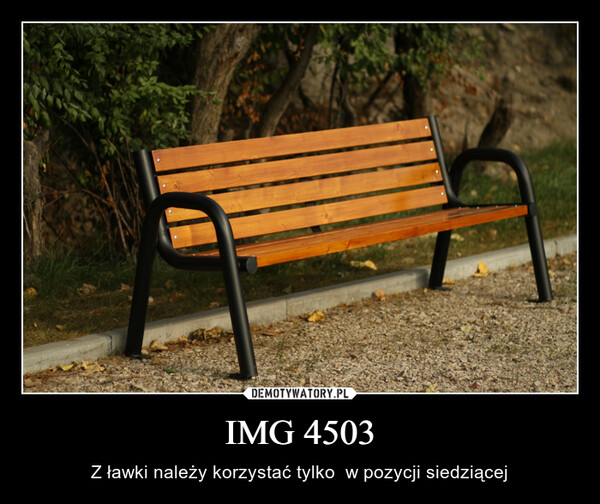 IMG 4503