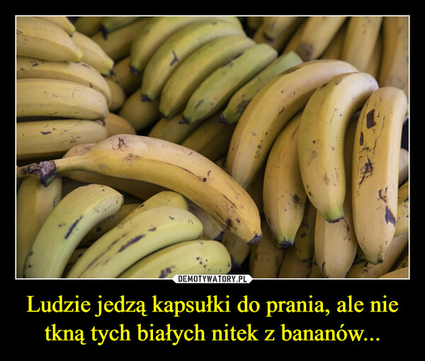 Ludzie jedzą kapsułki do prania, ale nie tkną tych białych nitek z bananów... –  