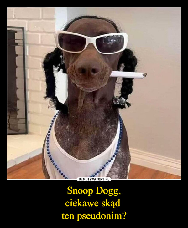 Snoop Dogg,ciekawe skąd ten pseudonim? –  000000000800000000-