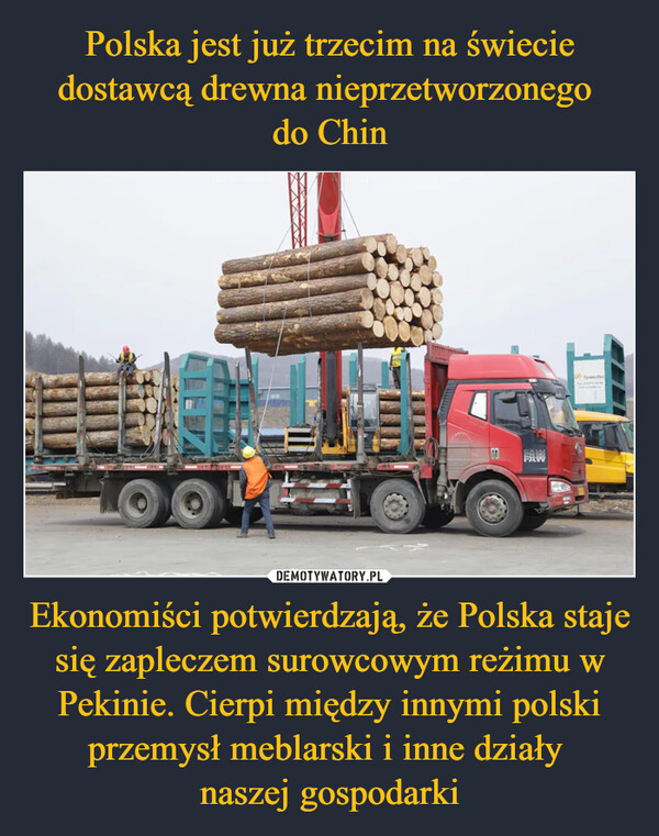 Ekonomiści potwierdzają, że Polska staje się zapleczem surowcowym reżimu w Pekinie. Cierpi między innymi polski przemysł meblarski i inne działy naszej gospodarki –  FAWFAWTpanche