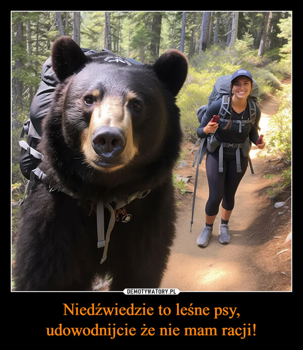 Niedźwiedzie to leśne psy,udowodnijcie że nie mam racji! –  