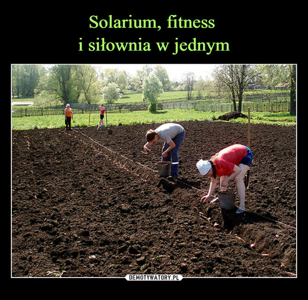 Solarium, fitness 
i siłownia w jednym