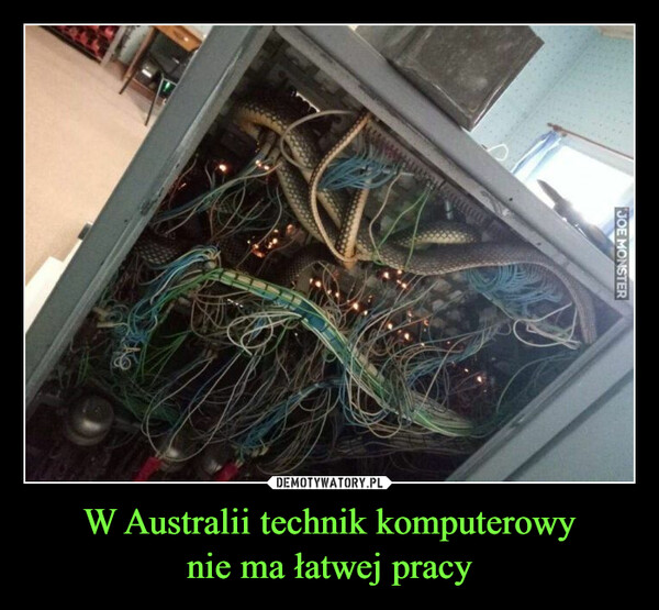 W Australii technik komputerowy
nie ma łatwej pracy