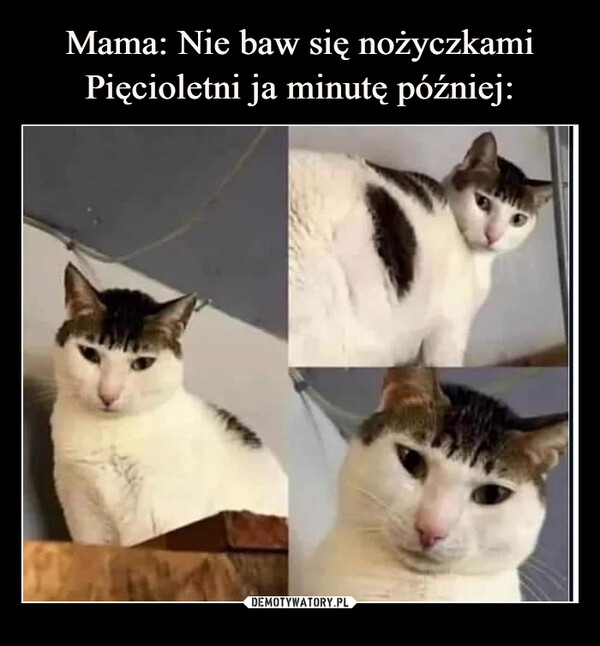  –  