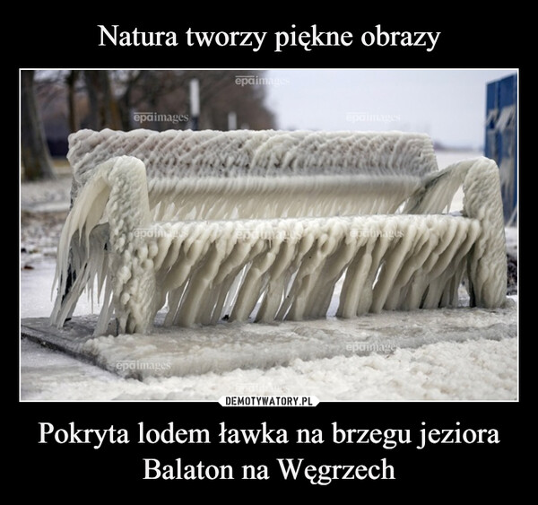Natura tworzy piękne obrazy Pokryta lodem ławka na brzegu jeziora Balaton na Węgrzech