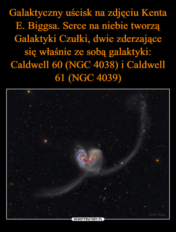 Galaktyczny uścisk na zdjęciu Kenta E. Biggsa. Serce na niebie tworzą Galaktyki Czułki, dwie zderzające się właśnie ze sobą galaktyki: Caldwell 60 (NGC 4038) i Caldwell 61 (NGC 4039)