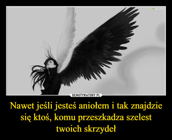 Nawet jeśli jesteś aniołem i tak znajdzie się ktoś, komu przeszkadza szelest twoich skrzydeł –  