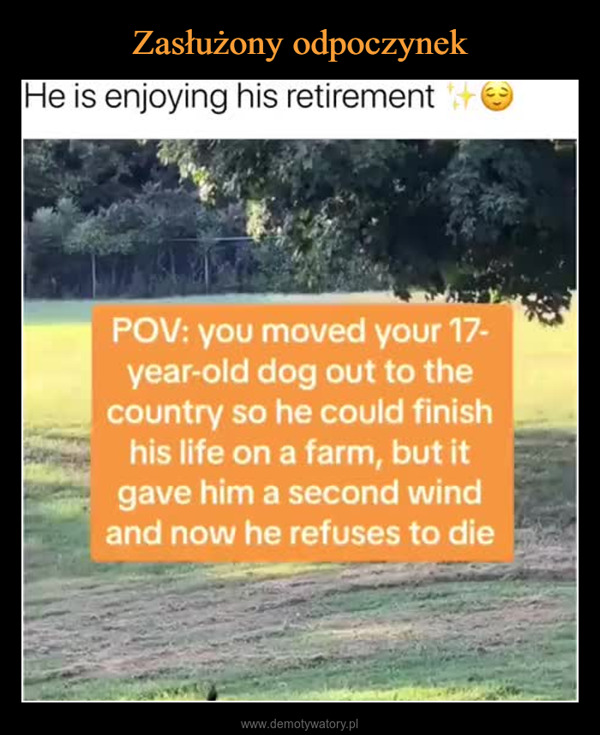  –  He is enjoying his retirementPOV: you moved your 17-year-old dog out to thecountry so he could finishhis life on a farm, but itgave him a second windand now he refuses to die