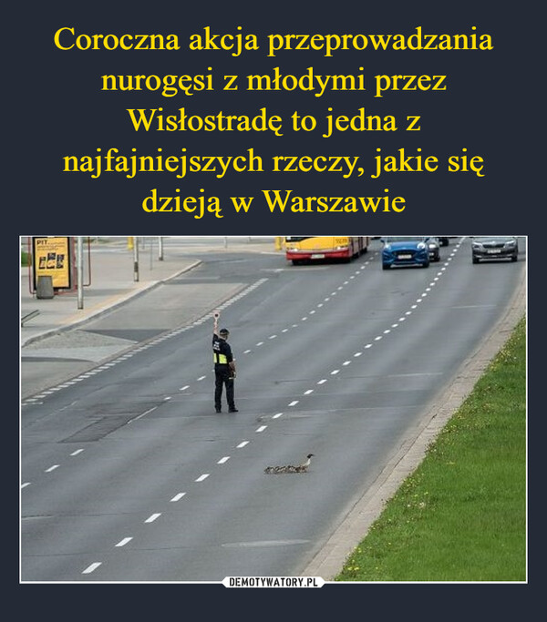  –  PITkwejk.pl