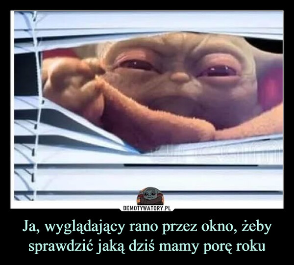 Ja, wyglądający rano przez okno, żeby sprawdzić jaką dziś mamy porę roku –  w x i