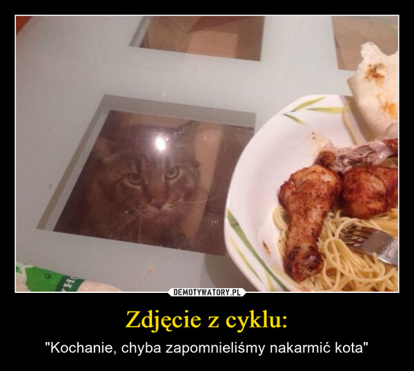 Zdjęcie z cyklu: – "Kochanie, chyba zapomnieliśmy nakarmić kota" H