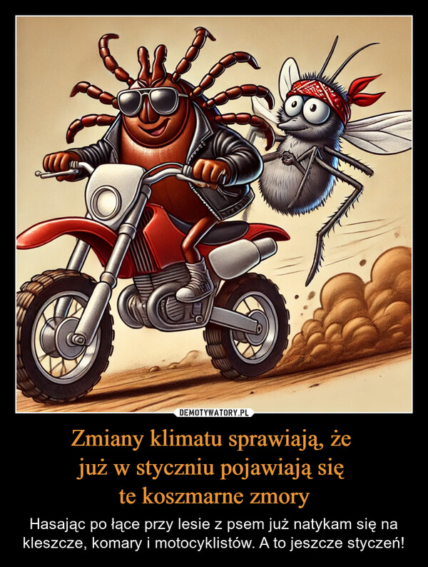 Zmiany klimatu sprawiają, że już w styczniu pojawiają się te koszmarne zmory – Hasając po łące przy lesie z psem już natykam się na kleszcze, komary i motocyklistów. A to jeszcze styczeń! 