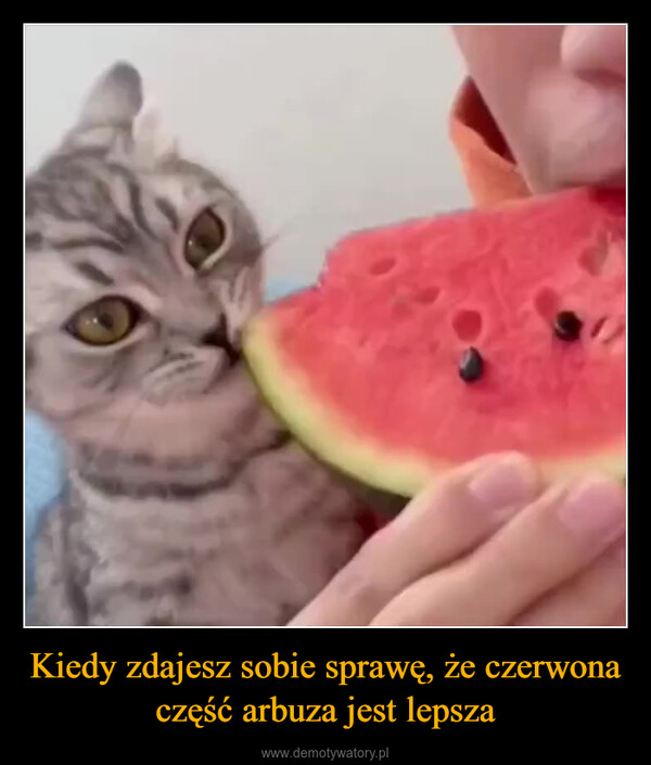 Kiedy zdajesz sobie sprawę, że czerwona część arbuza jest lepsza –  