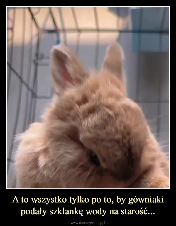 A to wszystko tylko po to, by gówniaki podały szklankę wody na starość... –  