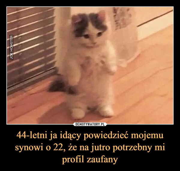 44-letni ja idący powiedzieć mojemu synowi o 22, że na jutro potrzebny mi profil zaufany –  JOE MONSTER44-letni ja idący powiedzieć mojemusynowi o 22, że na jutro potrzebny miprofil zaufany:
