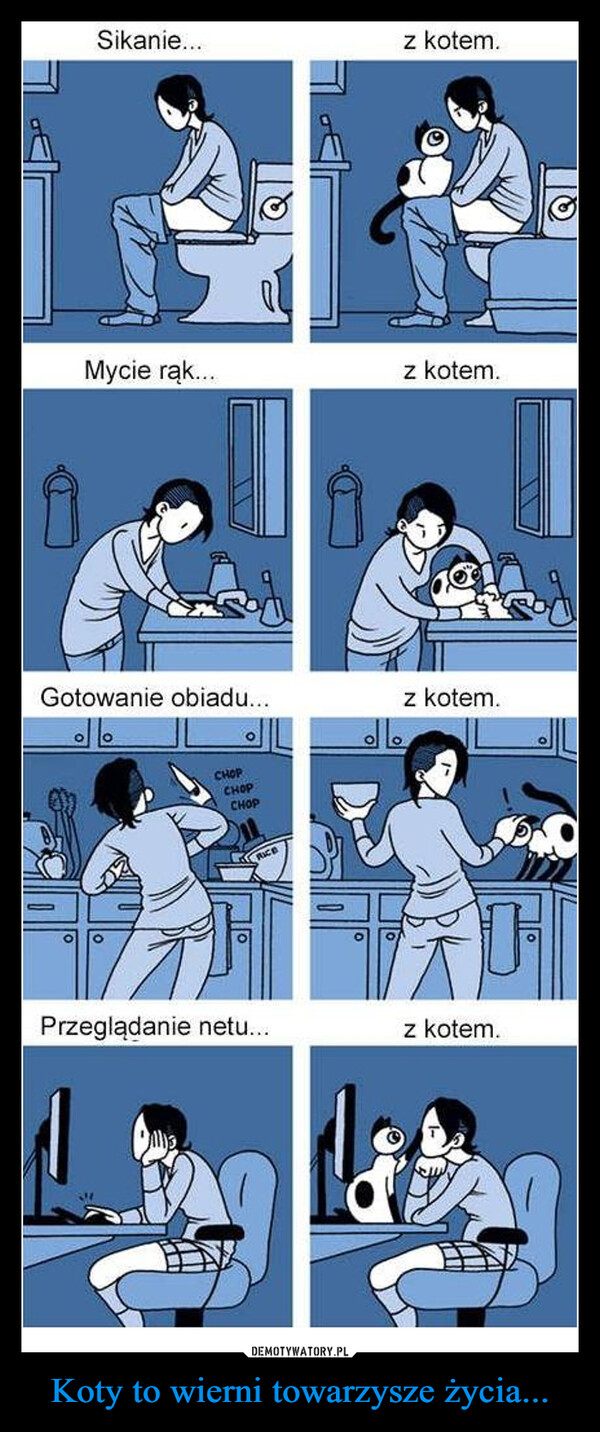 Koty to wierni towarzysze życia... –  iSikanie...QTz kotem.Mycie rąk...z kotem.Gotowanie obiadu...CHOPCHOPCHOP११z kotem.Przeglądanie netu...z kotem.